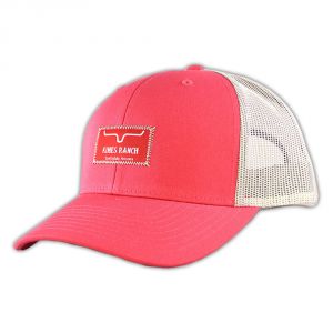 Kimes Ranch KR Branded Pink/Silver Trucker Snapback Hat